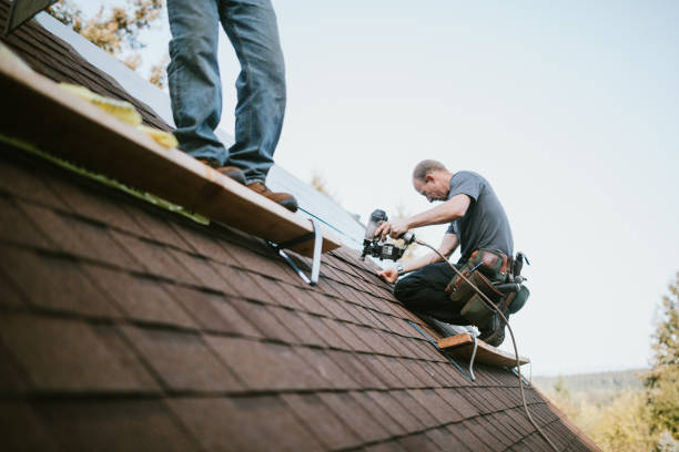 Roof Gutter Cleaning in Mariposa, CA